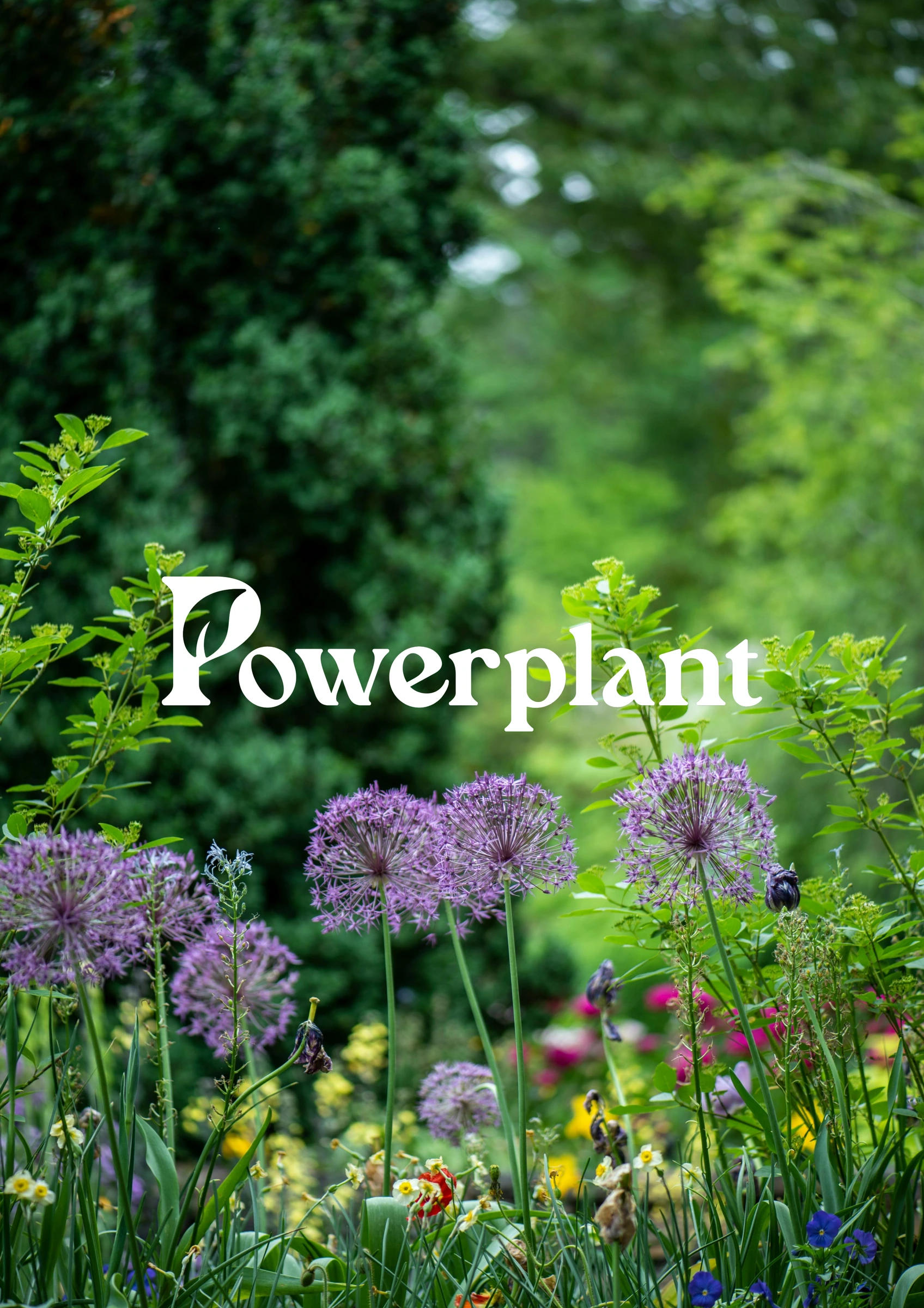 The white logo over a picture of a flowering border with purple flowers in front of green trees.