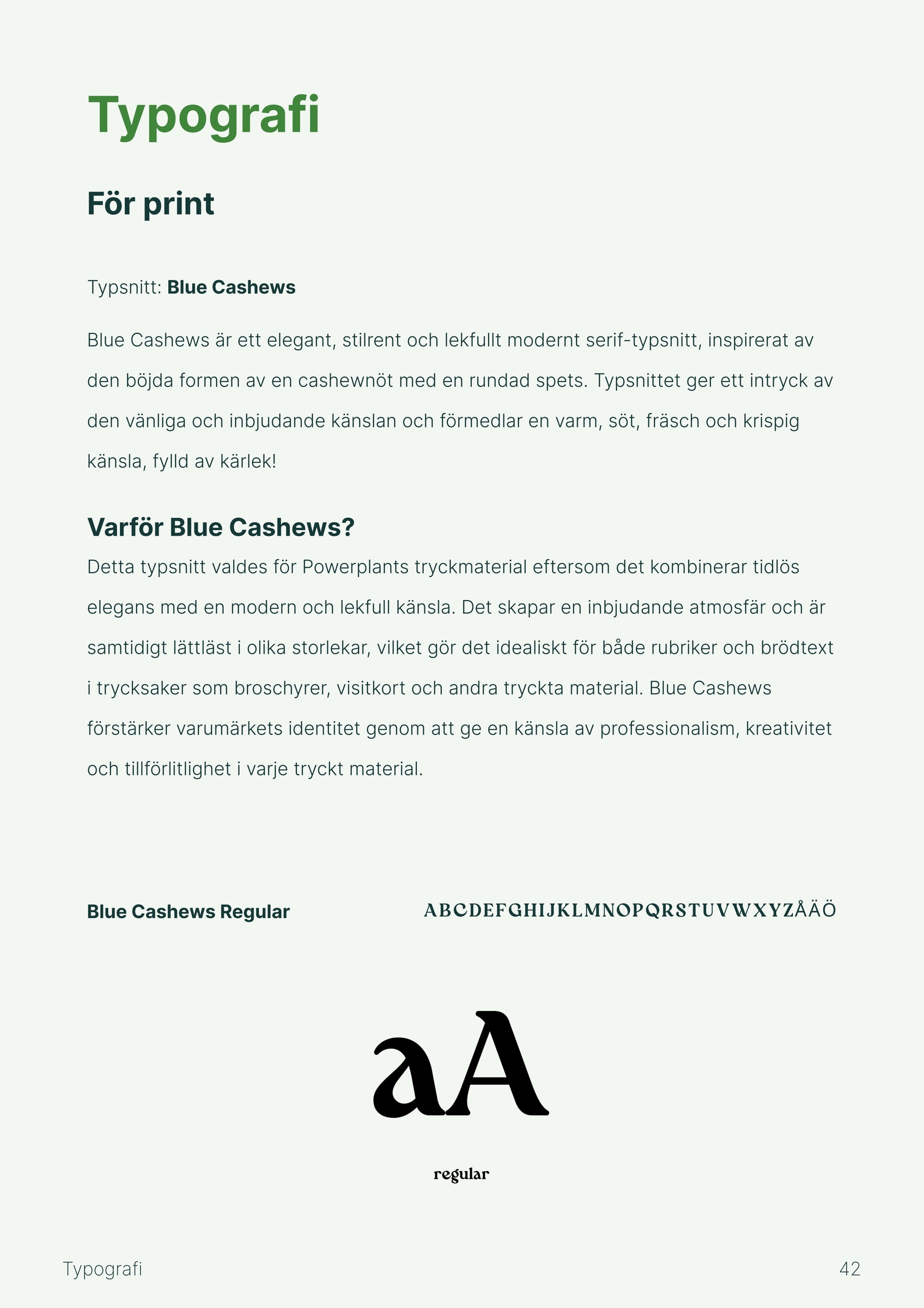 Manual page about the Blue Cashews typeface for print, with the alphabet and a large “aA”.
