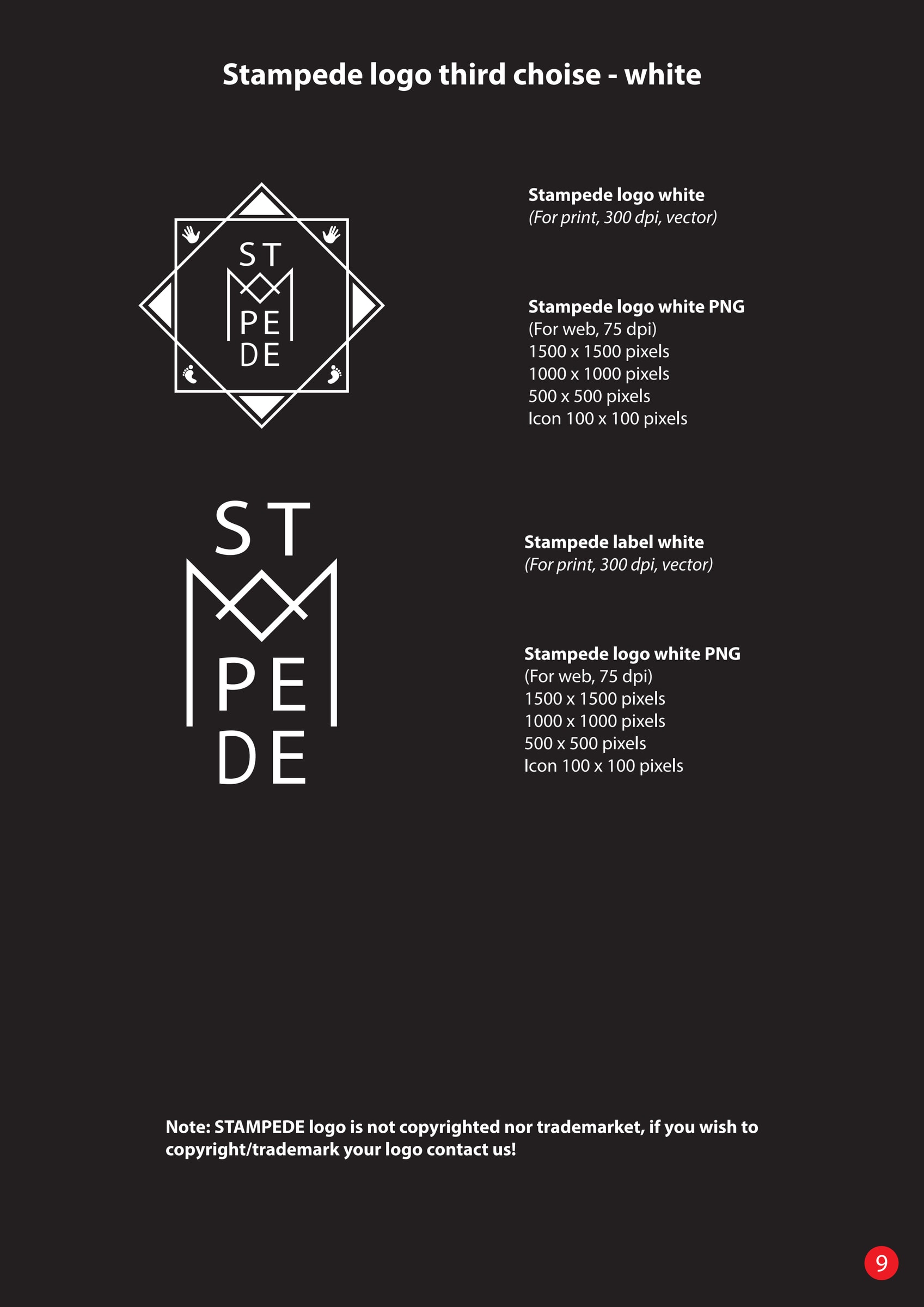 A manual page with a black background, where the logo and the lettering stand in white next to a list of file formats and sizes.